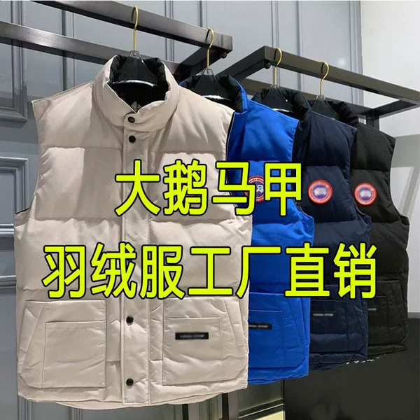 Goose Down Jacket Vest 2024 Autumn and Winter Sleeveless Men's and Women's Short Vest Coat Thickened Waistcoat Cross-border Foreign Trade