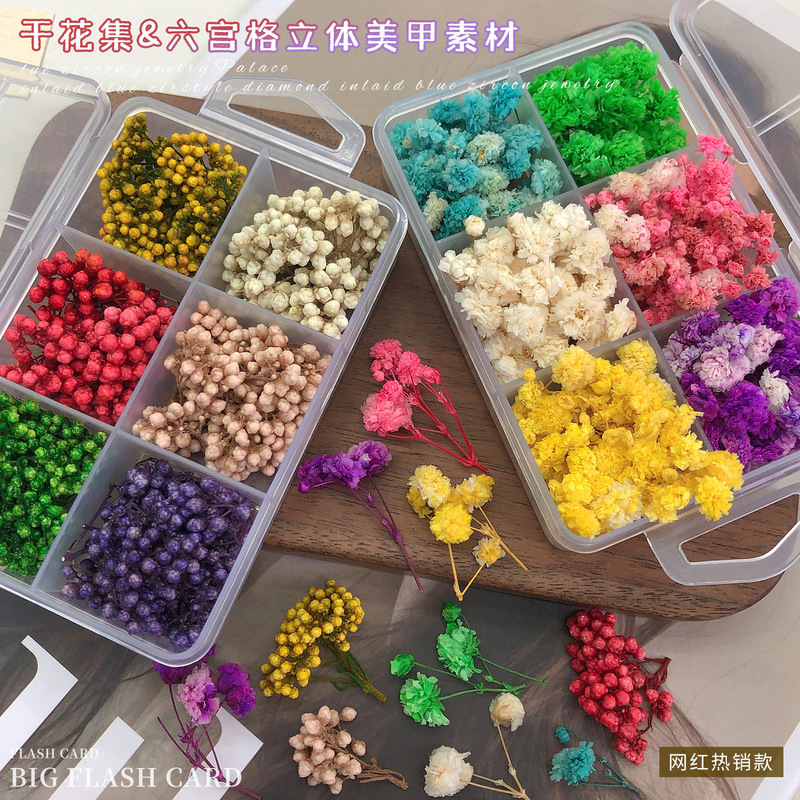 Colorful Dried Flower Nail Art Materials, Trendy 3D Instagram-Style Mini Five-Petal Flowers, Small Floral Nail Decorations