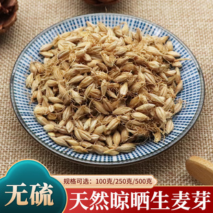 ��ș�����l���� ����ѿ����ѿ����ѿ����������������ѿ��