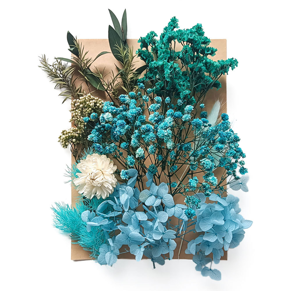 Flor seca flor eterna marco de fotos en relieve paquete de material combinación paquete de flores aromaterapia ventilador A5 bolsa de fábrica al por mayor transfronteriza