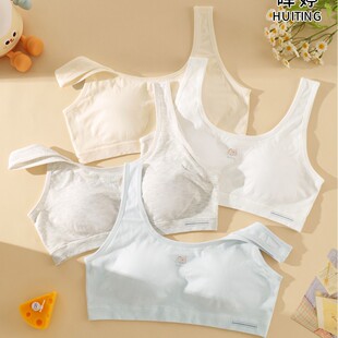 [free shipping] Hui Ting new girls fixed cup bra comfortable seamless fabric 1302