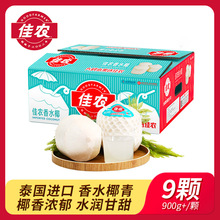 佳农泰进口香水椰青9粒装椰子整箱 孕妇水果