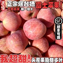 ����ɽ�|��Ʒ��̨��ϼ�t��ʿ�O��ɽ�|�خa����ˮ�����r��������