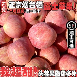 ����ɽ�|��Ʒ��̨��ϼ�t��ʿ�O��ɽ�|�خa����ˮ�����r��������