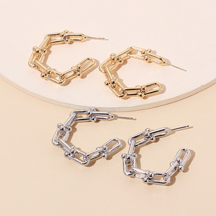 Retro Golden Lion Alloy Earrings Wholesale display picture 12