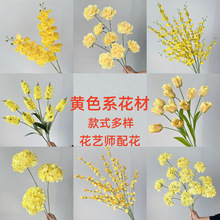 �Sɫϵ����ůϵ�ٻ�������Y�Y��ܛ�b����Ұ�L����·����픲廨