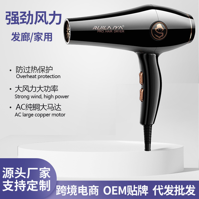 Cross-Border Hair Salon Special High-Power Hair Dryer Barber Shop Quick-Drying Household Hair Dryer Manufacturer Wholesale