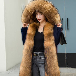 ��a��Ů���L��ɲ�ж2026���¿��Ƥ�݃�đ���״����n��Ӻ񰱾]