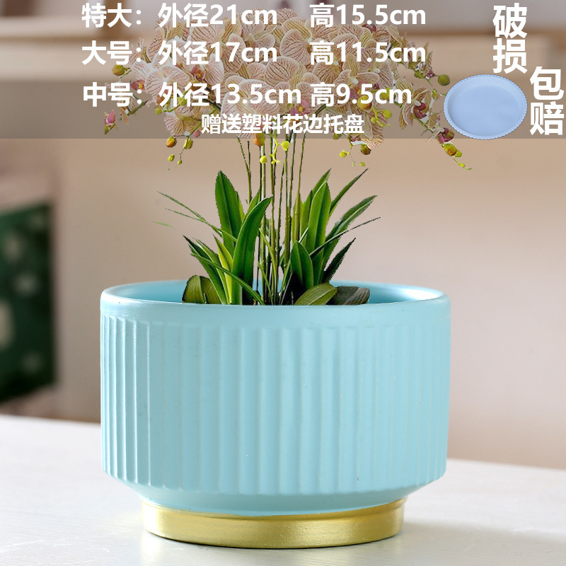直販の陶器製植木鉢、胡蝶蘭専用鉢、家庭用リビングルーム、一件代発送|undefined