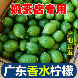 广东香水柠檬无籽手打柠檬茶专用奶茶店商用青柠水果鲜果新鲜现摘