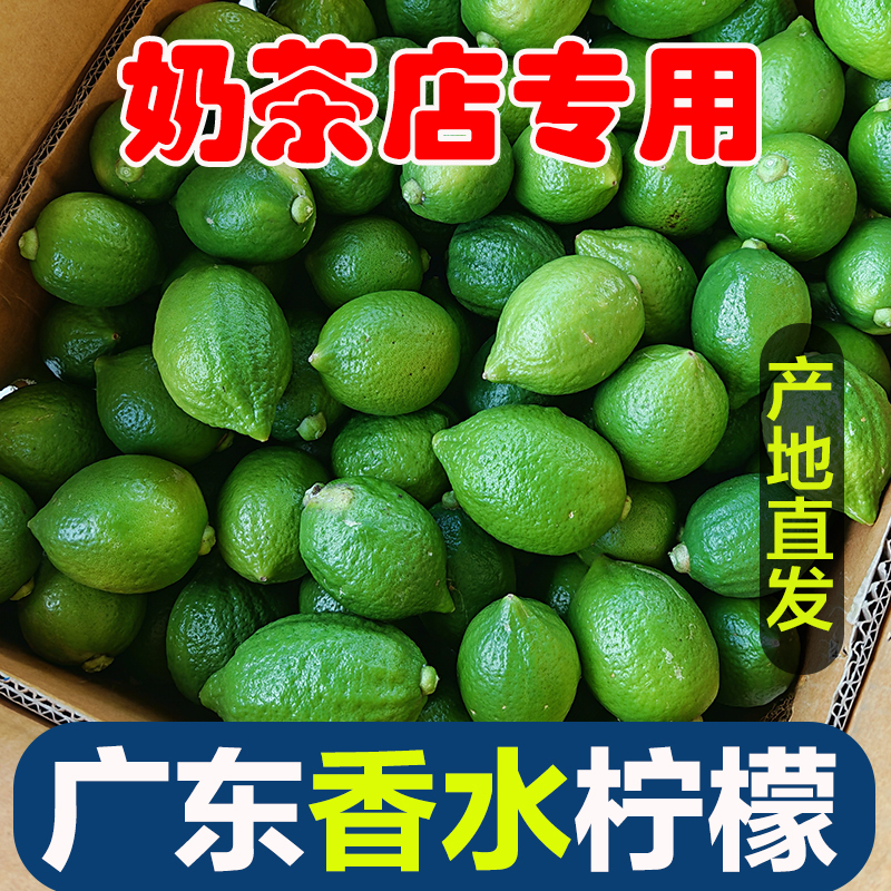 Guangdong Perfume Lemon Seedless Hand-Made Lemon Tea Special Milk Tea Shop Commercial Lime Fruit Fresh Fruit Freshly Picked