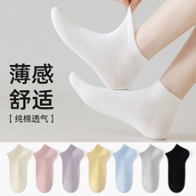 纯棉夏季薄袜子女士短筒吸汗防臭10A抗菌新疆棉无骨棉袜诸暨袜子