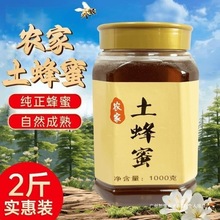 农家土蜂蜜天然土蜂蜜好吃不贵大瓶装无添加剂纯天然土蜂蜜2斤装