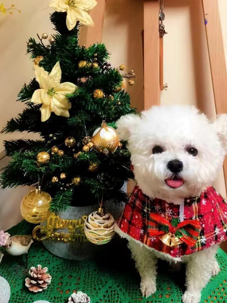 새끼 고양이 개 크리스마스 케이프 가을 겨울 따뜻한 목도리 나이트 가운 귀여운 애완 동물 새해 사진 옷