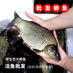 �a�~���l���~����ԭ���B��I�B�͏dꌣ���r��ˮ�a���������r��