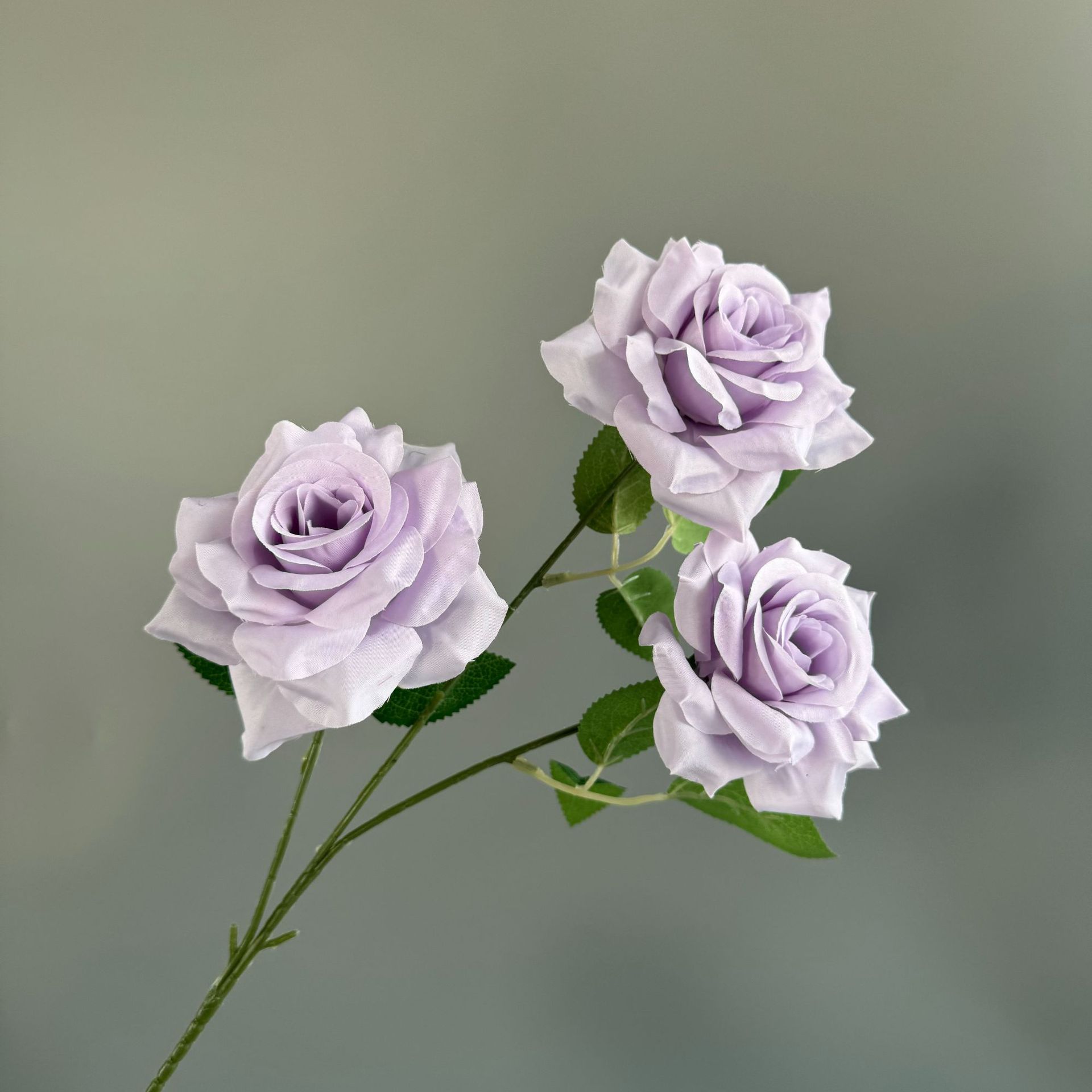 연한 보라색(잎 없음)