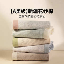 2025新款女士纯棉内裤三角裤抗菌全棉裆无痕中腰大码胖mm女生内裤