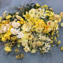 ?�¿��Sɫ��c���� �Sɫõ�彑��ĵ���ٻ�Ī�λ��@�L��