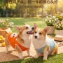 薄款新款春夏透气背心