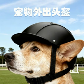 骑行眼镜;滑雪镜;宠物鞋靴