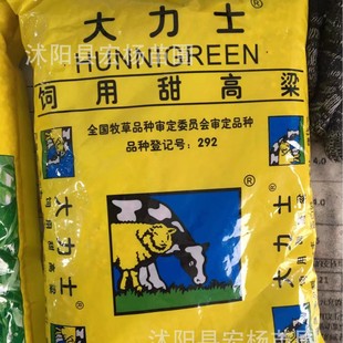 Original Original Pasture Seeds Hercules Sweet Sorghum Gadan Grass Rye Grass Seeds Poultry, Cattle, Sheep, Fish, Rabbits and Geese