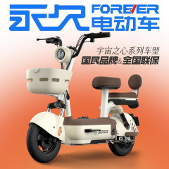 永久 2025 新しい国家標準電動自転車男性と女性の電気自動車大人の小型長寿命バッテリー車