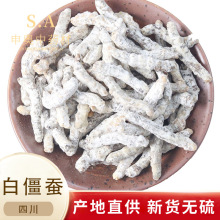 申奥材  白僵蚕 天虫 僵虫 50g 实体店 材店铺