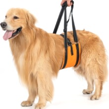 跨境热卖宠物用品 辅助带可调节便携式狗狗牵引绳 用于老年犬
