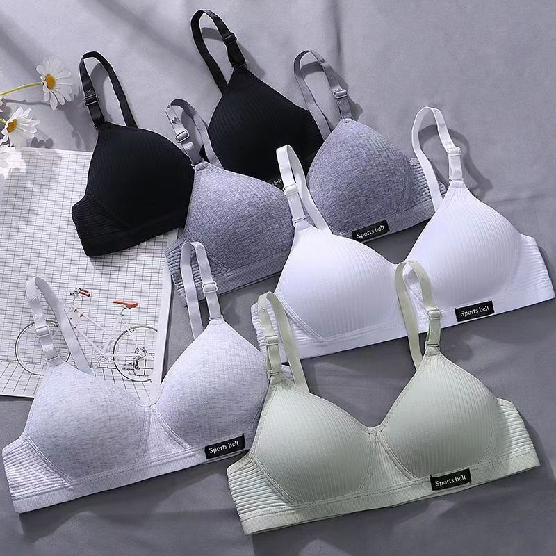 Cross-Border Original Southeast Asian Popular Underwear Pure Cotton No Rims Girls Amusement Park Thin Bra Small Breast Push-Up Cover