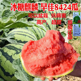 �ش�����֭ˮ������ʯ�^�p�����߲�ˮ���N�Ӵ�ϑНh�����ϷN��
