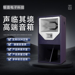 RES-2专业舞台音箱大功率重低音炮厂家批发音响