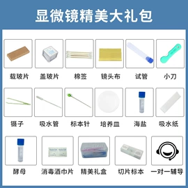 显微镜;目镜、物镜;反射镜