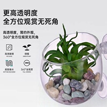 �����~���쾰����������ˮ������쾰�����貣����͸ˮ���쾰��