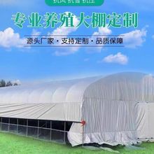 ҴǼ䓹ܼ߲˷NֲB䓼ܴBֳȫBi