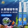 水族海水莫丝沉木石头