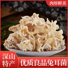 �ö�����؛500�˰��]��ľ����؛�y�������ľ����������ӹ��خa