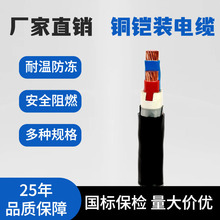 _YJV22|о3+1о˟o~͉0.6/1KV䓎~zb