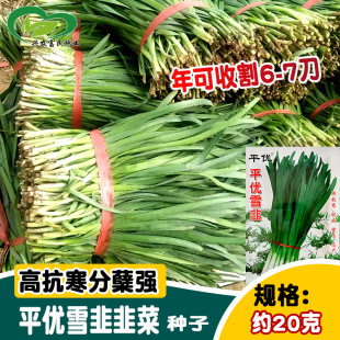 ƽ��ѩ�·N�� �߿��ͺ�Խ��������ѩ�¾²˷N�� �ˈ@�r���̨����