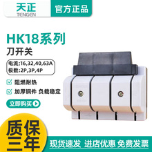 TENGEN늚HK18_P2P3P 4Px͉·Ͷ63Al415V