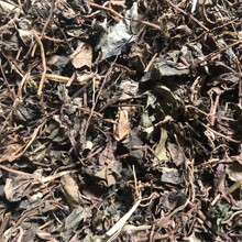 ���l ���۲� ���˲� ���˃� �ɲ� ������