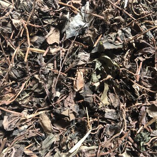 ���l ���۲� ���˲� ���˃� �ɲ� ������