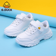 СSͯСЬƤͯЬɫЬŮͯ\̤