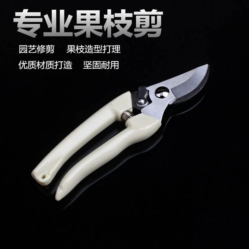 Сбор фруктового сада лесных ножниц