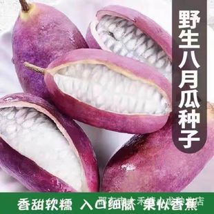 ���¹ϰ���ը�N����ʳ�w�S�·N���ļ������̨����ʳ��ˮ���N��