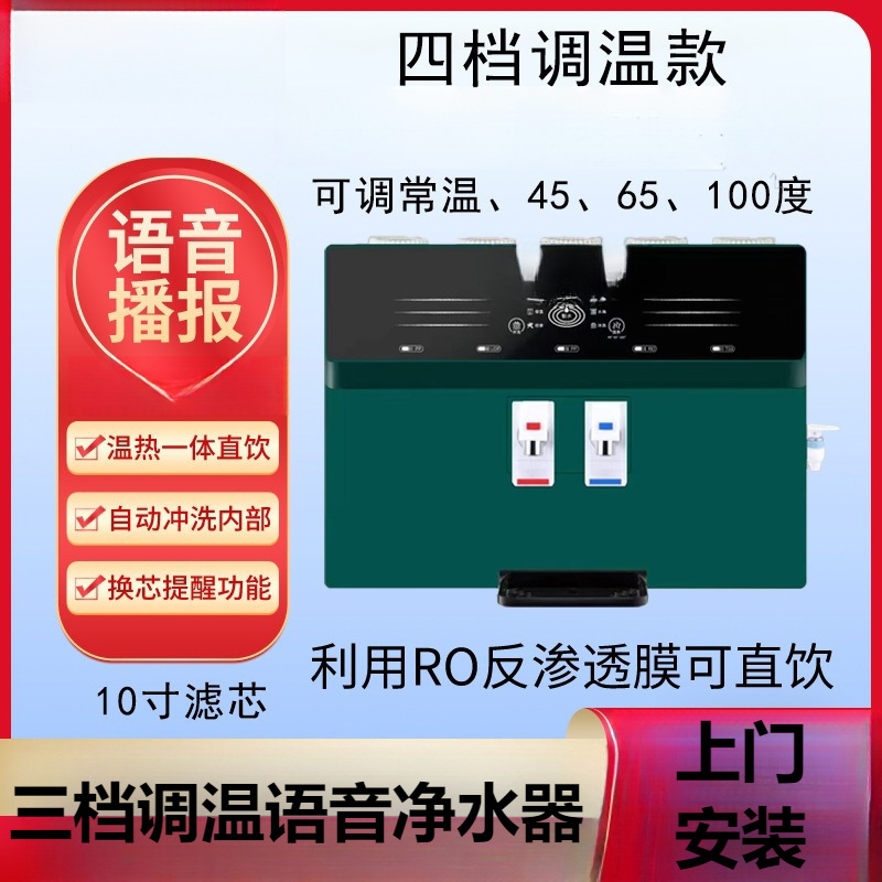 Free Shipping Water Purifier Intelligent Voice Temperature Adjustment Water Purifier Household Direct Drinking Hot and Cold All-In-One Machine Ro Reverse Osmosis