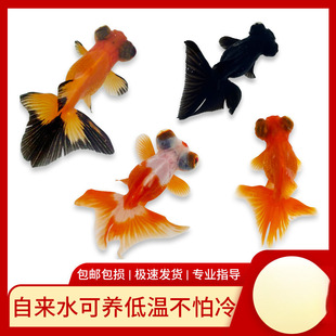 С���~���~�^�p�~��ˮ��ˮ�t�~�\���~���B�ͻ����\���^ ���� ���~