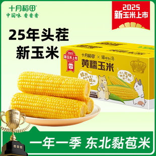 25��ʮ�µ����SŴ����1.76kg���rܛŴ�������z�|����������b����