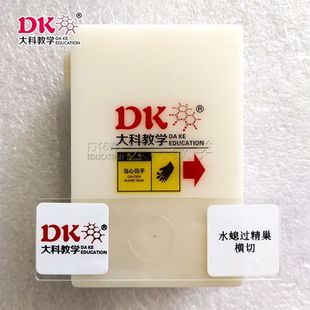 Subtechnology Teaching General Teaching Use Microscopic Slides, Water-fined Nest Cross-cut, Factory Direct Sales