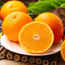 四川青見愛媛38果凍橙橙子新鮮水果自由農場供應量充足提前預定