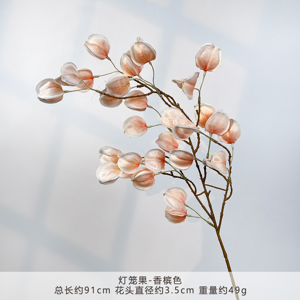 K-灯笼果-香槟